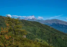 Panorami nella natura